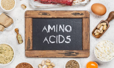 Doctorhub360.com amino acids: Unlocking the Building Blocks of Life