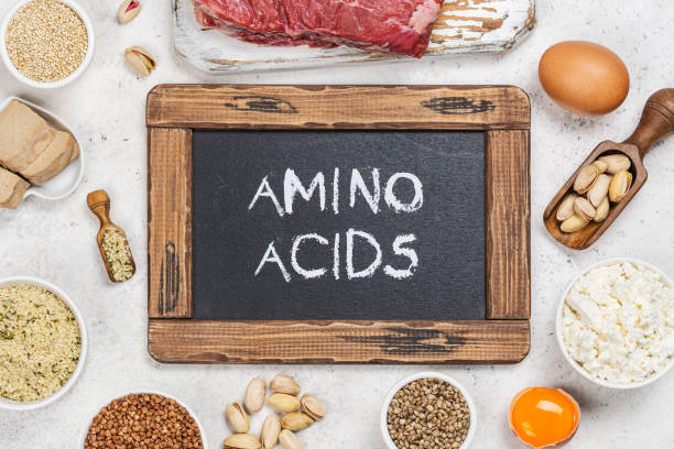 Doctorhub360.com amino acids: Unlocking the Building Blocks of Life